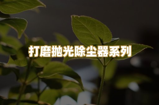 打磨抛光除尘器系列
