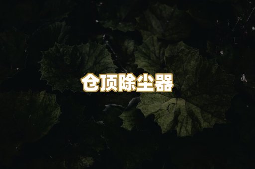 仓顶除尘器